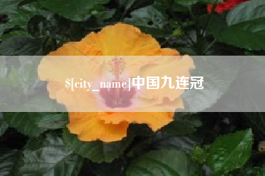 商洛中国九连冠