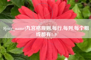 商洛九宫格规则,每行,每列,每个粗线都有1-9