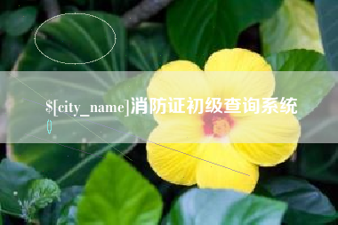 商洛消防证初级查询系统