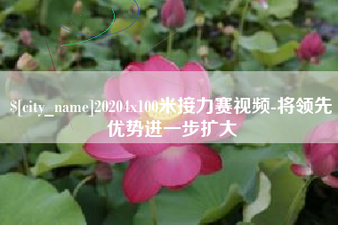 商洛20204x100米接力赛视频-将领先优势进一步扩大