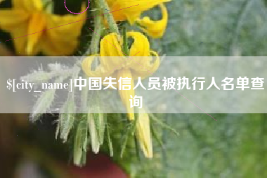 商洛中国失信人员被执行人名单查询