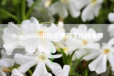 商洛中国金牌得了几枚金牌