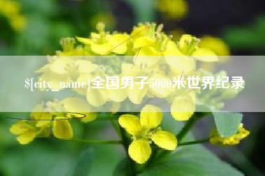 商洛全国男子5000米世界纪录