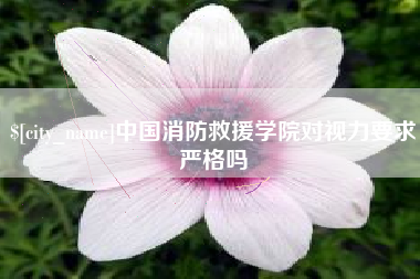 商洛中国消防救援学院对视力要求严格吗