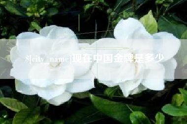商洛现在中国金牌是多少