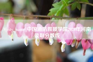 商洛中国消防救援学院2020年河南录取分数线