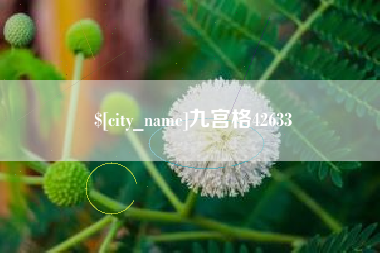 商洛九宫格42633