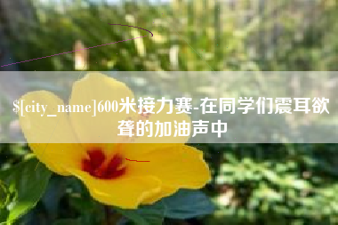 商洛600米接力赛-在同学们震耳欲聋的加油声中