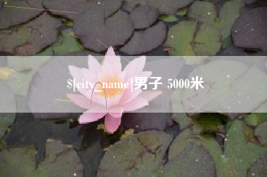 商洛男子 5000米