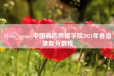 商洛中国消防救援学院2021年各省录取分数线