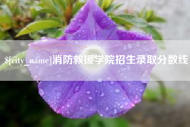 商洛消防救援学院招生录取分数线