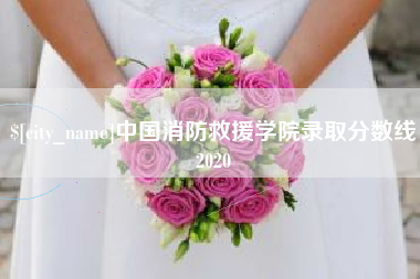 商洛中国消防救援学院录取分数线2020
