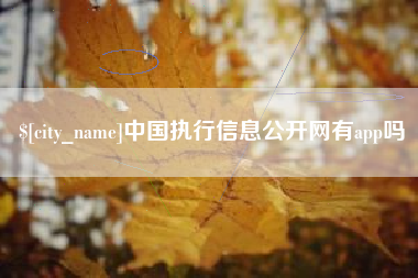 商洛中国执行信息公开网有app吗