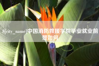 商洛中国消防救援学院毕业就业前景如何