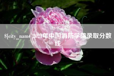 商洛2021年中国消防学院录取分数线