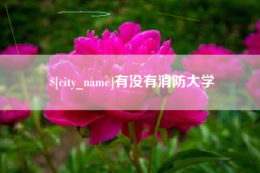 商洛有没有消防大学