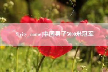 商洛中国男子5000米冠军