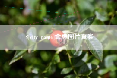 商洛金牌图片真实