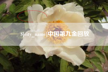 商洛中国第九金回放