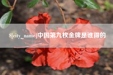 商洛中国第九枚金牌是谁得的