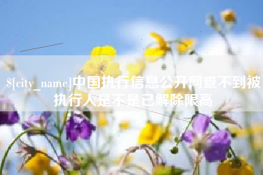 商洛中国执行信息公开网查不到被执行人是不是已解除限高