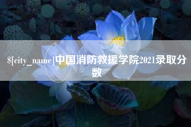 商洛中国消防救援学院2021录取分数