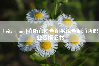 商洛消防官网查询系统查询消防职业资格证书