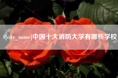 商洛中国十大消防大学有哪些学校