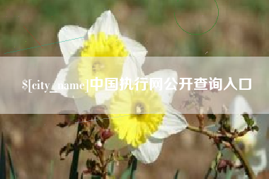 商洛中国执行网公开查询入口