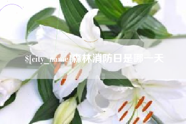 商洛森林消防日是哪一天