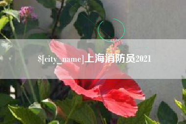 商洛上海消防员2021