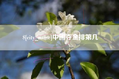 商洛中国夺金排第几