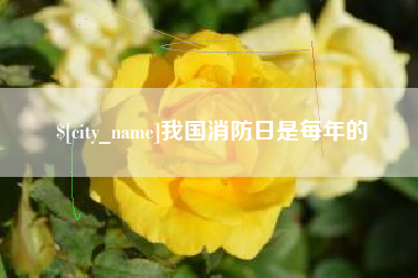 商洛我国消防日是每年的