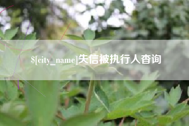 商洛失信被执行人杳询