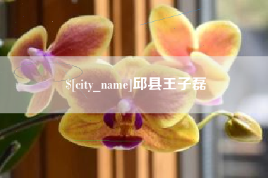 商洛邱县王子磊