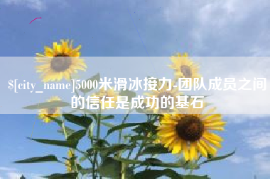 商洛5000米滑冰接力-团队成员之间的信任是成功的基石