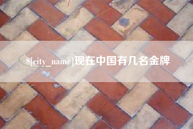 商洛现在中国有几名金牌