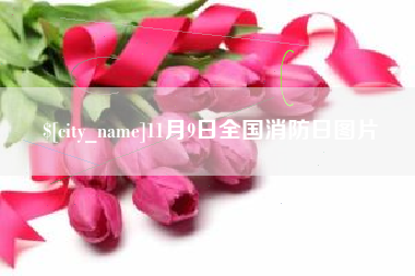 商洛11月9日全国消防日图片