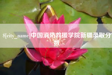 商洛中国消防救援学院新疆录取分数