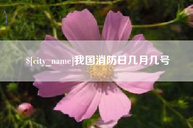 商洛我国消防日几月几号