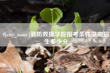 商洛消防救援学院报考条件湖南招生多少分