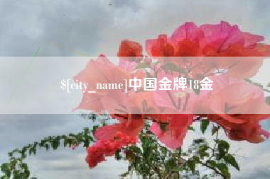 商洛中国金牌18金