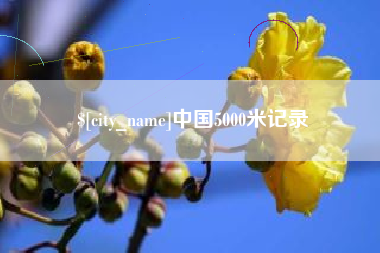 商洛中国5000米记录