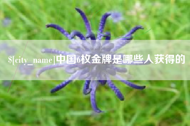 商洛中国6枚金牌是哪些人获得的