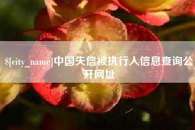 商洛中国失信被执行人信息查询公开网址