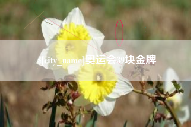 商洛奥运会39块金牌
