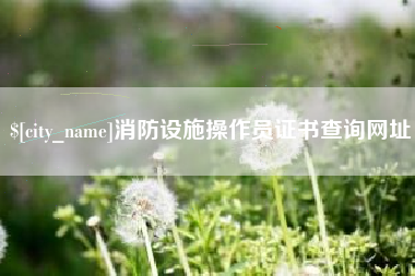 商洛消防设施操作员证书查询网址