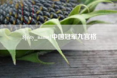 商洛中国冠军九宫格
