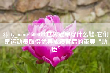 商洛5000米世界冠军穿什么鞋-它们是运动员取得优异成绩背后的重要“功臣”