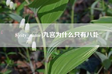 商洛九宫为什么只有八卦